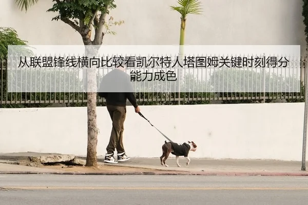 从联盟锋线横向比较看凯尔特人塔图姆关键时刻得分能力成色